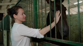 Ukraine's Horse Rescuer: 'This Is My Front Line'