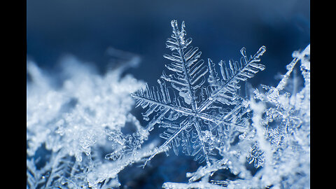 Breaking Boundaries: Scientists Craft First-Ever 3-D Model of a Melting Snowflake ❄️