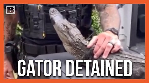"You Are Under Arrest" -- Police Remove Alligator from Home of 104-Year Old Woman