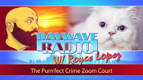 The Purrrfect Crime Zoom Court | Daywave Clip
