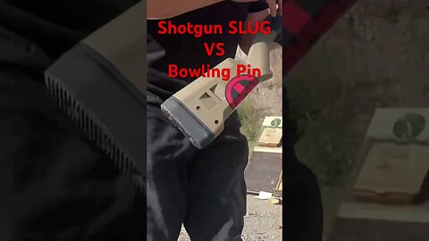 Shotgun Slug vs Bowling Pin