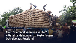 Mali: "Niemand kann uns kaufen" - Geteilte Meinungen zu kostenlosem Getreide aus Russland