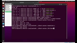 check-access.c - Checa as Permissões de Acesso de um Arquivo no Linux