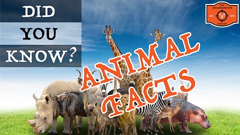 From Eagles to Elk: 10 FASCINATING Animal Facts You Need to Know! 🤔