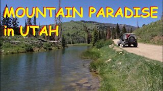 Mountain Paradise - Manti-La Sal NF Utah
