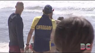 4 shark attacks off NY shores; 50 spotted at beach