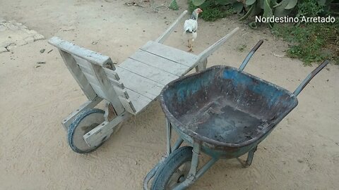 Galinhota ou Carrinho de mão? #Nordeste