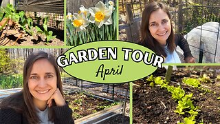 Spring Vegetable Garden Tour | 2024 Tour #2 | Zone 6