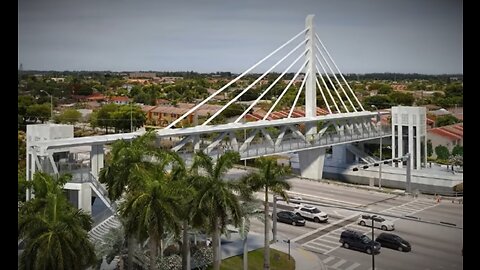 The Florida International University Bridge Disaster 2018