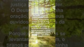 ORAÇÃO DOS SALMOS 54 | #MensagensdeReflexãodeDeus