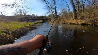 Catching BROOK trout in a Small Roadside KRIK