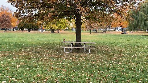 Failing To Sneak Up On a Squirrel