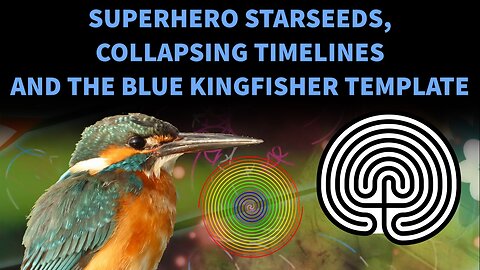 Superhero Starseeds, Collapsing Timelines and the Blue Kingfisher Template