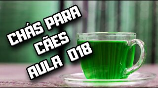 Chá de Neem para Cães: aula 018 | Dr. Edgard Gomes | Alimentação natural para Cães