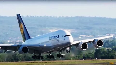 A meticulous Airbus A380 Lufthansa landing. (Planes potting )