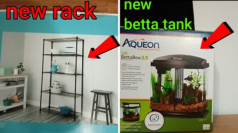 time for a betta unboxing and review plus new rescue shelf rack