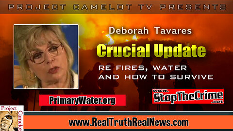 🔥 SHOCKING! Deborah Tavares Reveals the Truth About the Forest Fires, Destruction of Primary Water Sources, Electric Vehicle, Bus and Bike Explosions
