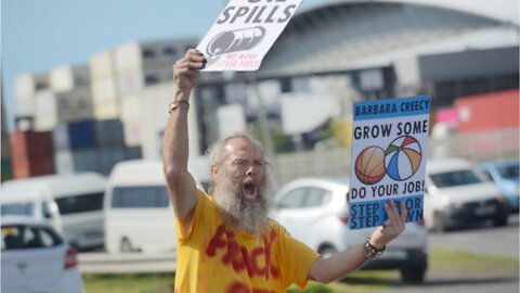 Several civil society environmental organisatio ns protesting Paarden Eiland