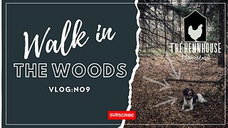Walk in the Woods