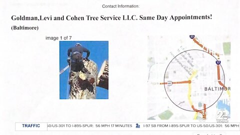 MFM: Tree trimmer sent doctored photos