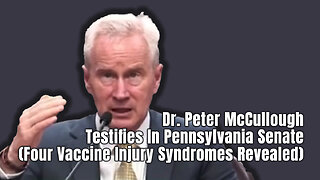 Dr. Peter McCullough Testifies In Pennsylvania Senate (Four Vaccine Injury Syndromes Revealed)