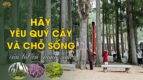 Hãy yêu quý cây và yêu quý chỗ sống của tất cả chúng sinh đang sống cùng chúng ta.