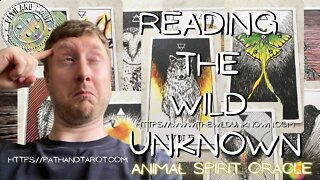 Reading the Wild Unknown Animal Spirit Oracle.