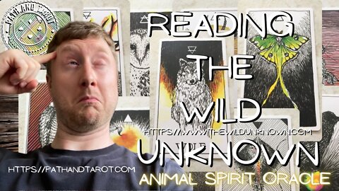 Reading the Wild Unknown Animal Spirit Oracle.