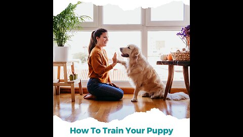 How to TAKE CARE of a PUPPY 🐶 complete guide to PUPPY CARE