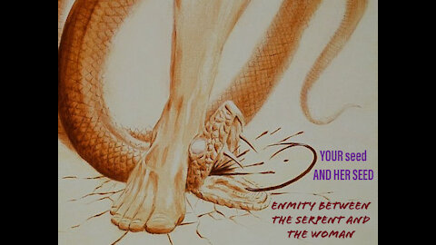 Enmity between the serpent and the woman