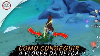 Genshin Impact, Como conseguir 4 flores da névoa para Dilic | Super Dica PT-BR