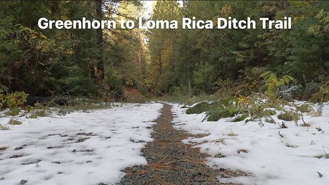 Greenhorn to Loma Rica NID ditch Trail