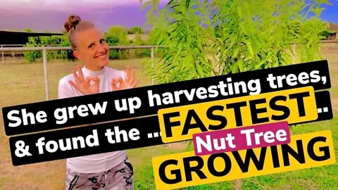 She grew up planting hundreds of trees and found the FASTEST GROWING NUT TREE! #viral #tiktok #video