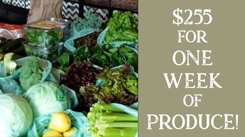 Weekly Grocery Haul | All Healthy & Mostly Organic Produce