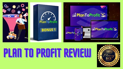 Plan To Profit Review