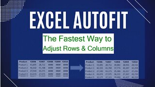 EXCEL AUTO-FIT: THE FASTEST WAY TO ADJUST ROWS AND COLUMNS