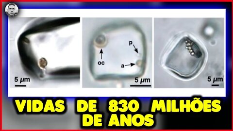 DESCOBERTA ! SERES VIVOS de 830 MILHÕES de ANOS. Podem Ser EXTRATERRESTRES. #ciencia