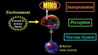 KNOW THYSELF: Epigenetics and Computers! IT'S ALL HERE NOW!!!