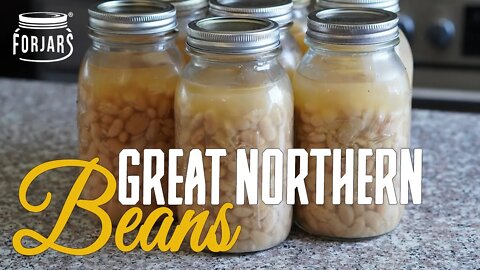 Pressure Canning Great Northern Beans with ForJars Canning Lids