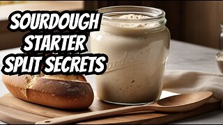 Learn how to divide sour dough starter to share!