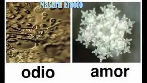 A transformação da molécula da Água Do pesquisador Japonês Masaru Emoto