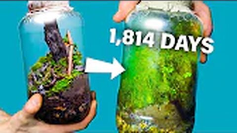 I Made a Free Terrarium 1_814 Days Ago. How Is It_(720P_HD)