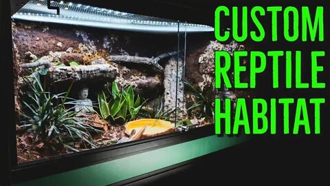 Custom Reptile Habitats Kingsnake Bioactive Enclosure REVIEW!