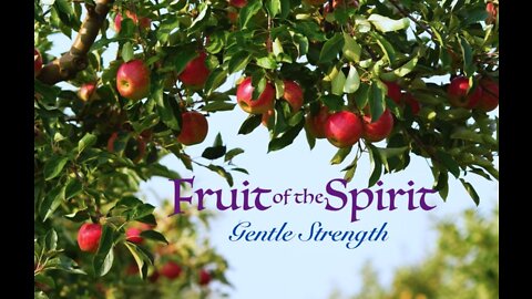 Fruit of the Spirit — Gentle Strength