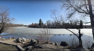 Walking in Regina, April 11, 2024: Around the lake again at last