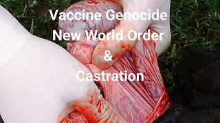 Vaccine Genocide, New World Order & Castration