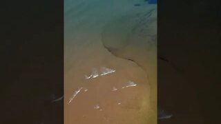 Overhead Drone View of Waves at the Beach