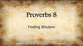 Leveling Up in Wisdom - Proverbs 8:1-4