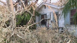 Homeowner asking for help after tree falls on home, preventing power restoration