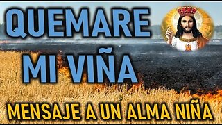 QUEMARE MI VIÑA - JESUCRISTO REY A UN ALMA NIÑA